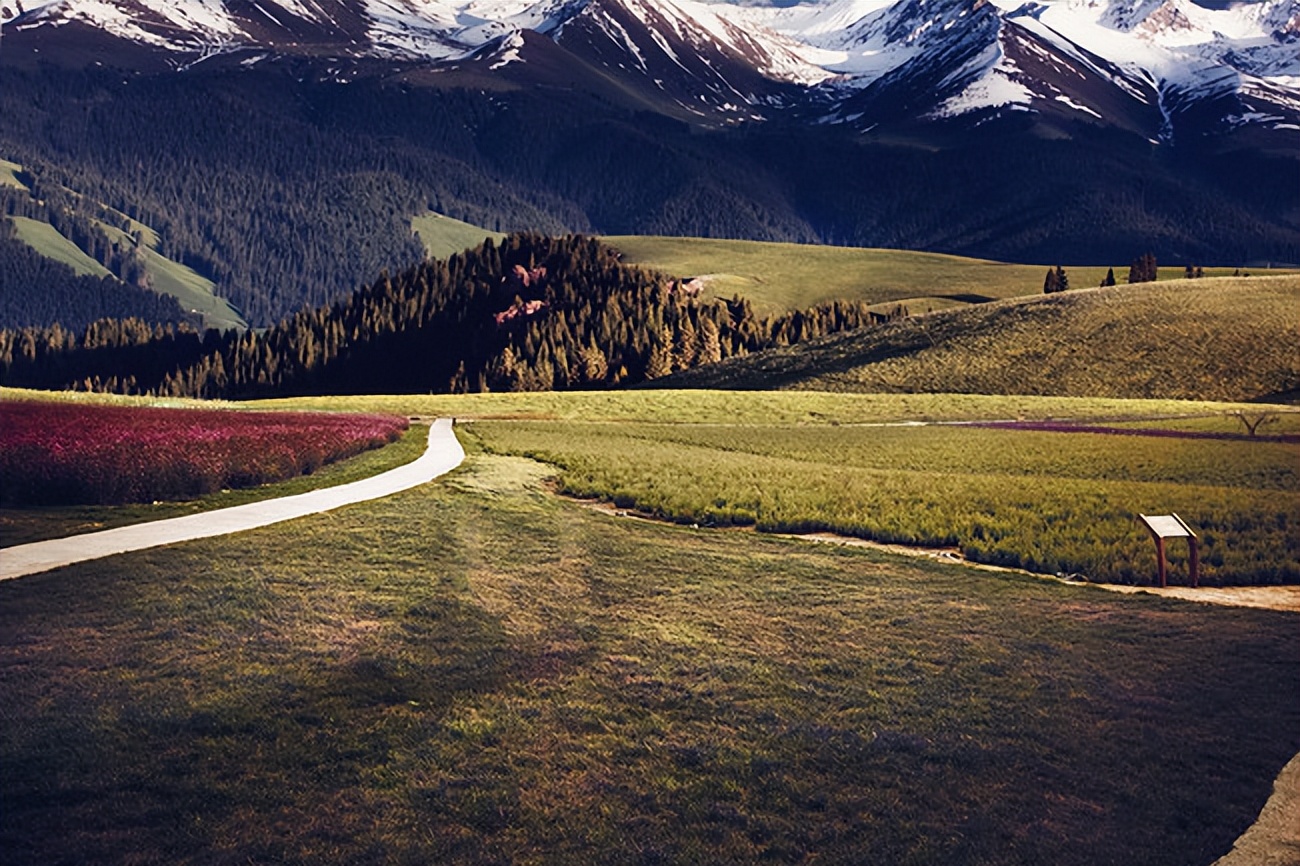 塞舌尔公司注册条件和优势,塞舌尔公司优缺点