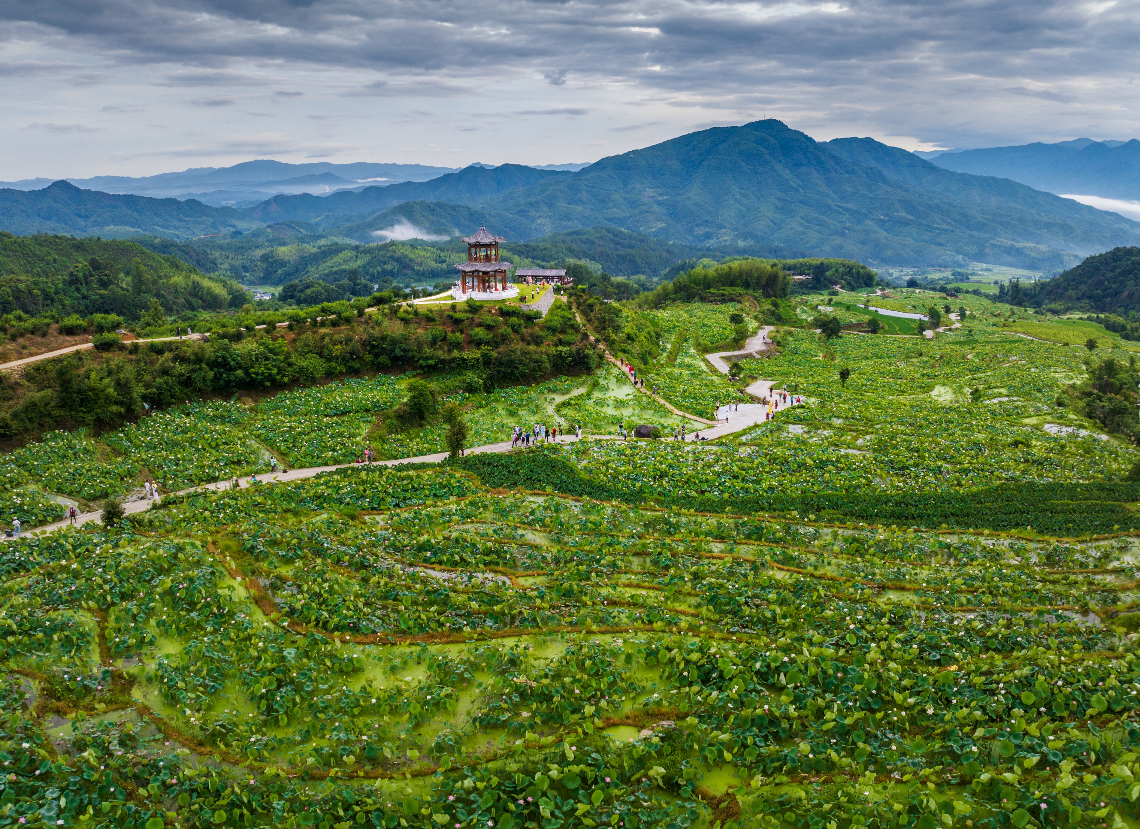 “同话沪明情、四季游三明”来自上海一位老摄影家的感人瞬间