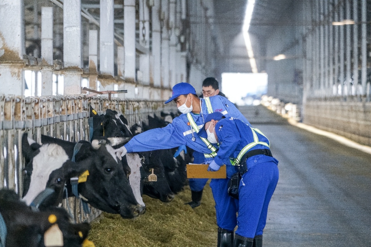 吴晓波第一次买入股票,吴晓波投资大师