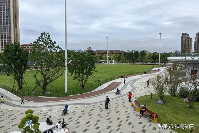 成都首届公园城市网红打卡点,成都周边公园网红打卡景点