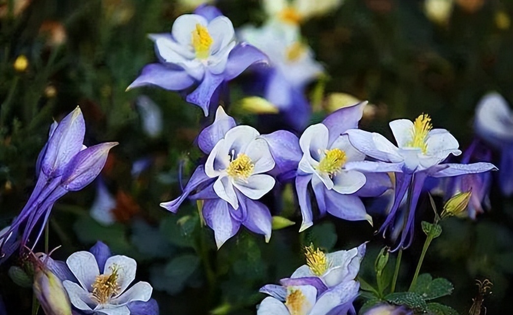 一个女人喜欢你一定要知道这些,想要一个女人持续的喜欢你