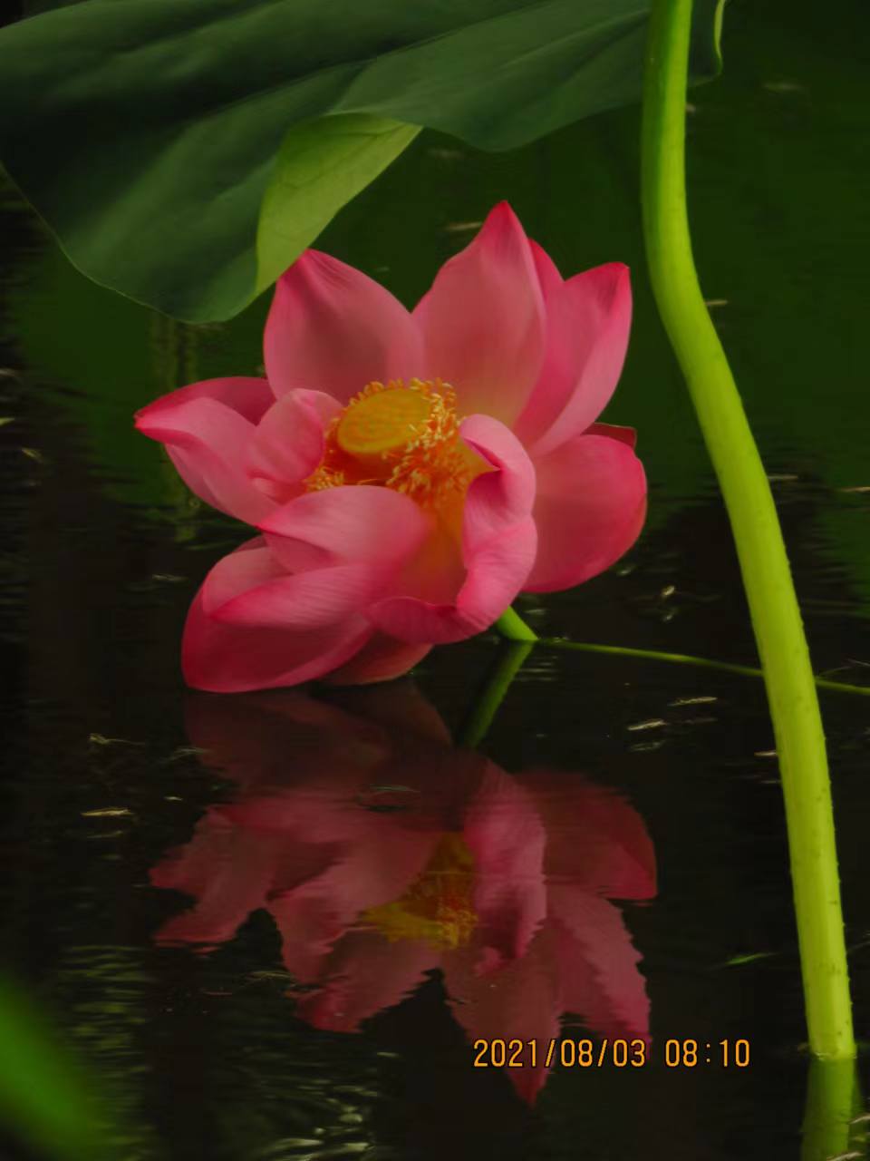 “以我为主”地忽略“事”的经过——浅尝辄止、先喜后忧的根源