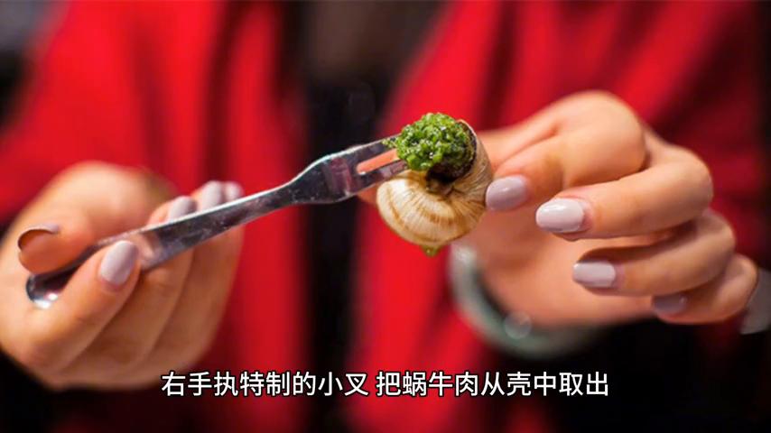 美食世界科普小知识内容,美食科普最好吃的食物