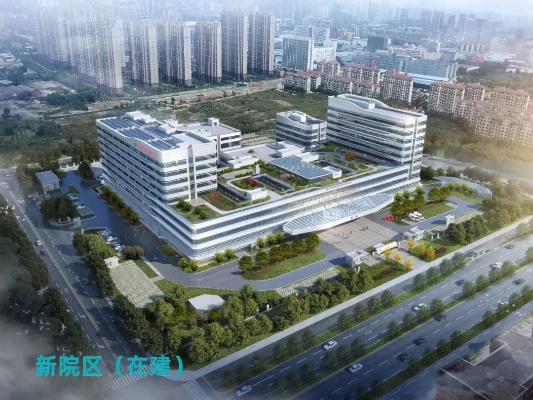 头上长了红色斑要注意了,头上有斑块怎么治