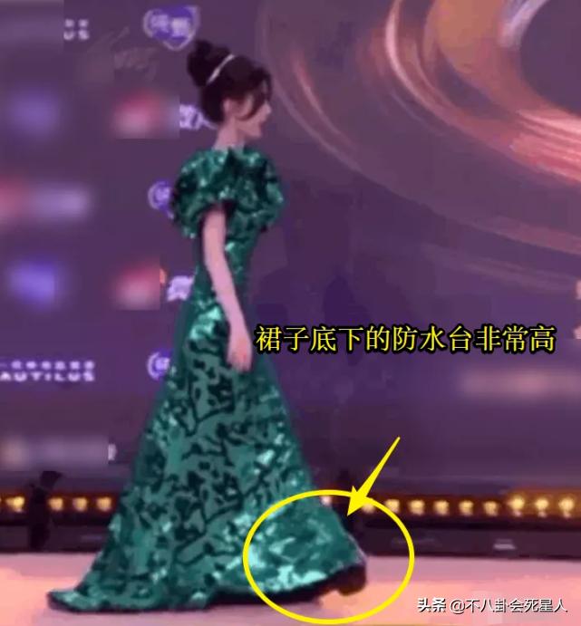 冬天走红毯穿得厚的女明星,女明星走红毯的穿着