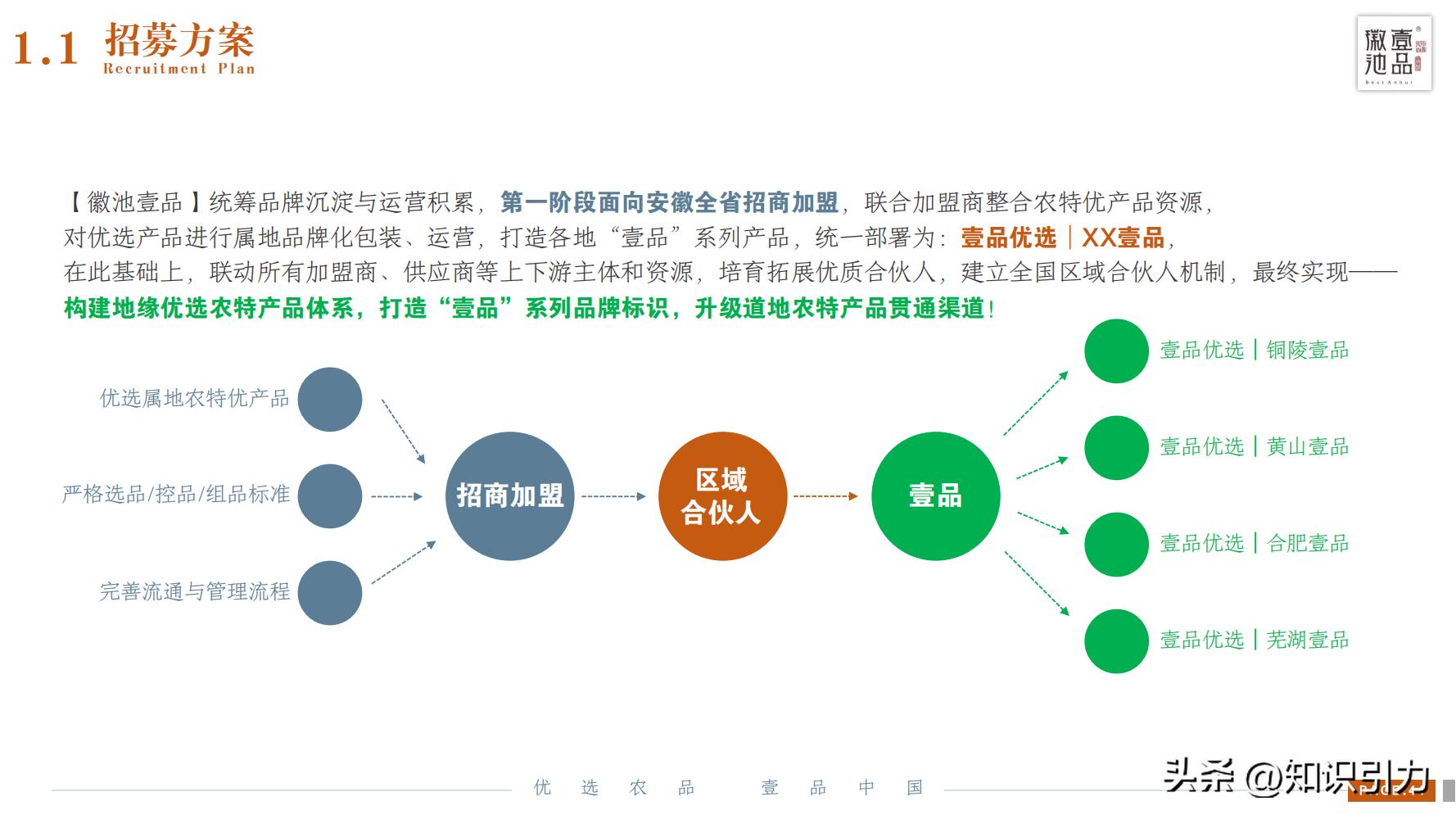 加盟招商运营成功案例,招商加盟案例库