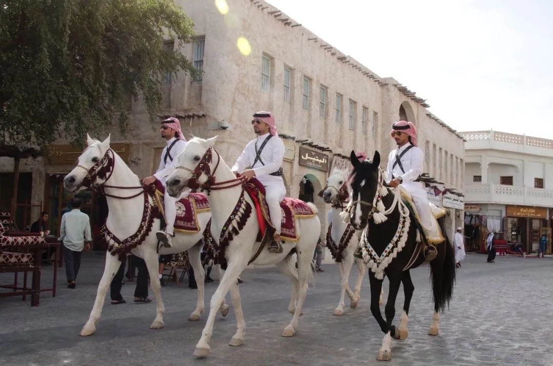 世界杯冷知识大全集,世界杯举办国卡塔尔的冷知识