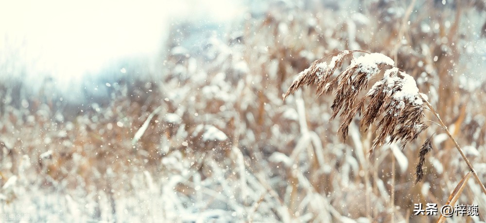 岁月幽幽，万般皆可期（随写）