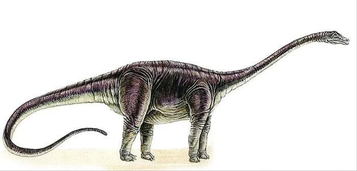 恐龙世界认识史前各种恐龙,食草恐龙和食肉恐龙科普视频