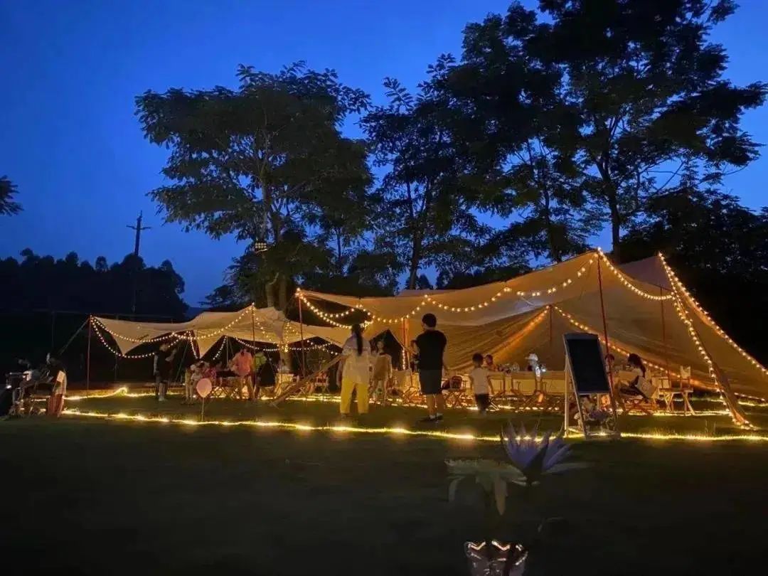 非遗展演美食美景直播,烟火美食节目