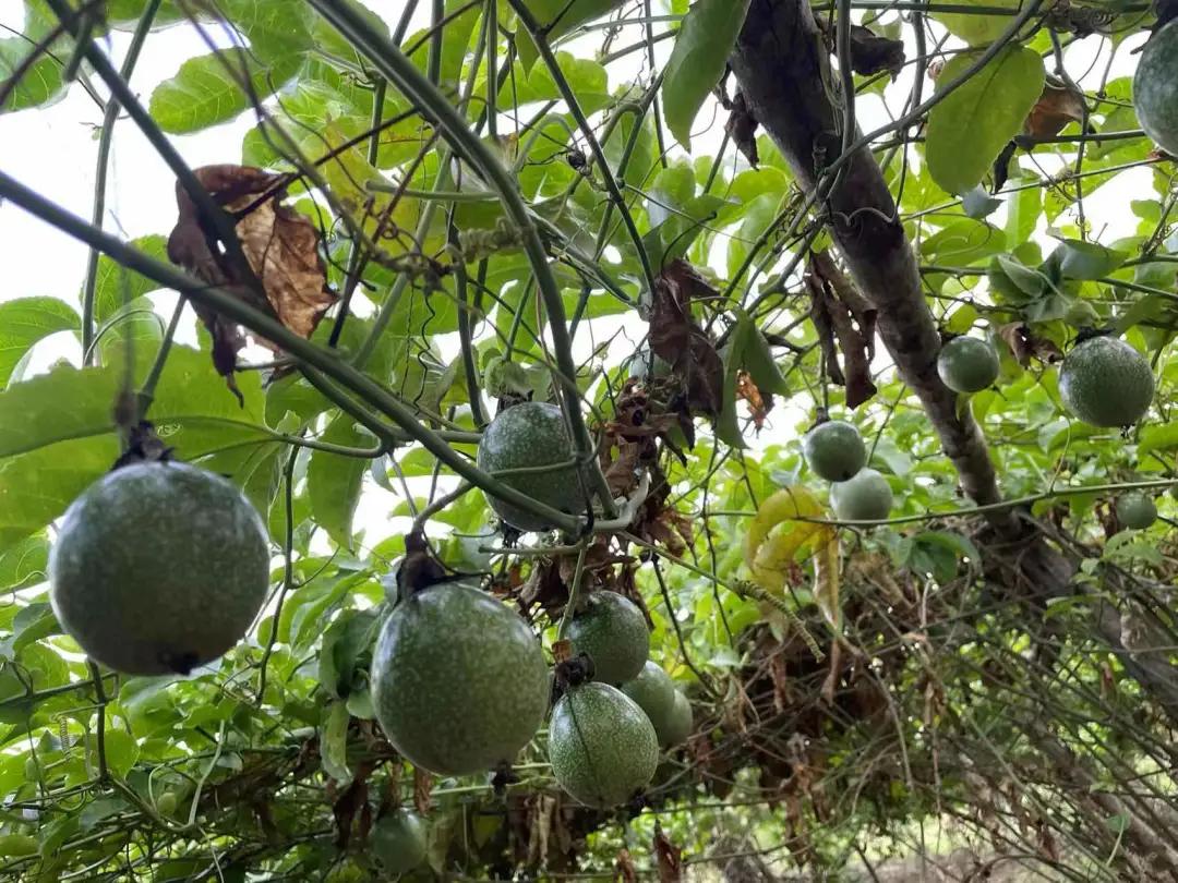 老汤创业,老汤生活记录