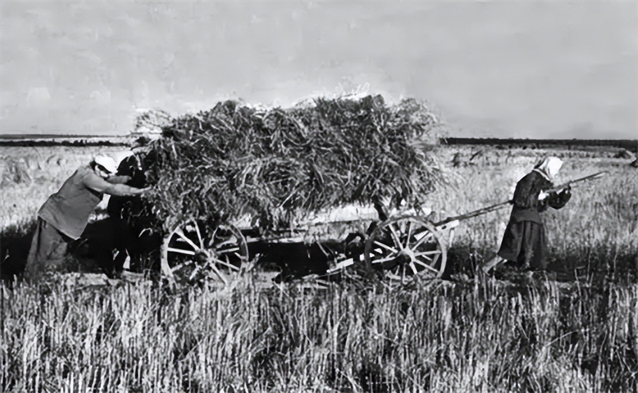 苏联74年，有个问题困扰每一代领导人，却被基辛格看透
