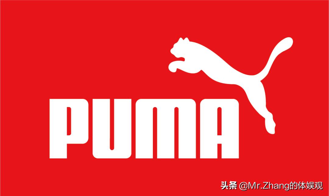 彪马阿迪耐克世界销量,耐克阿迪彪马还有什么品牌