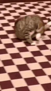 快乐源泉高能瞬间,快乐源泉8693