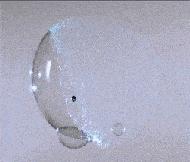 女性身体里的「黄体」，到底是什么？