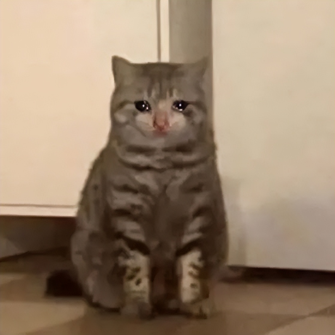 “好开心啊，我终于被人绑架了”