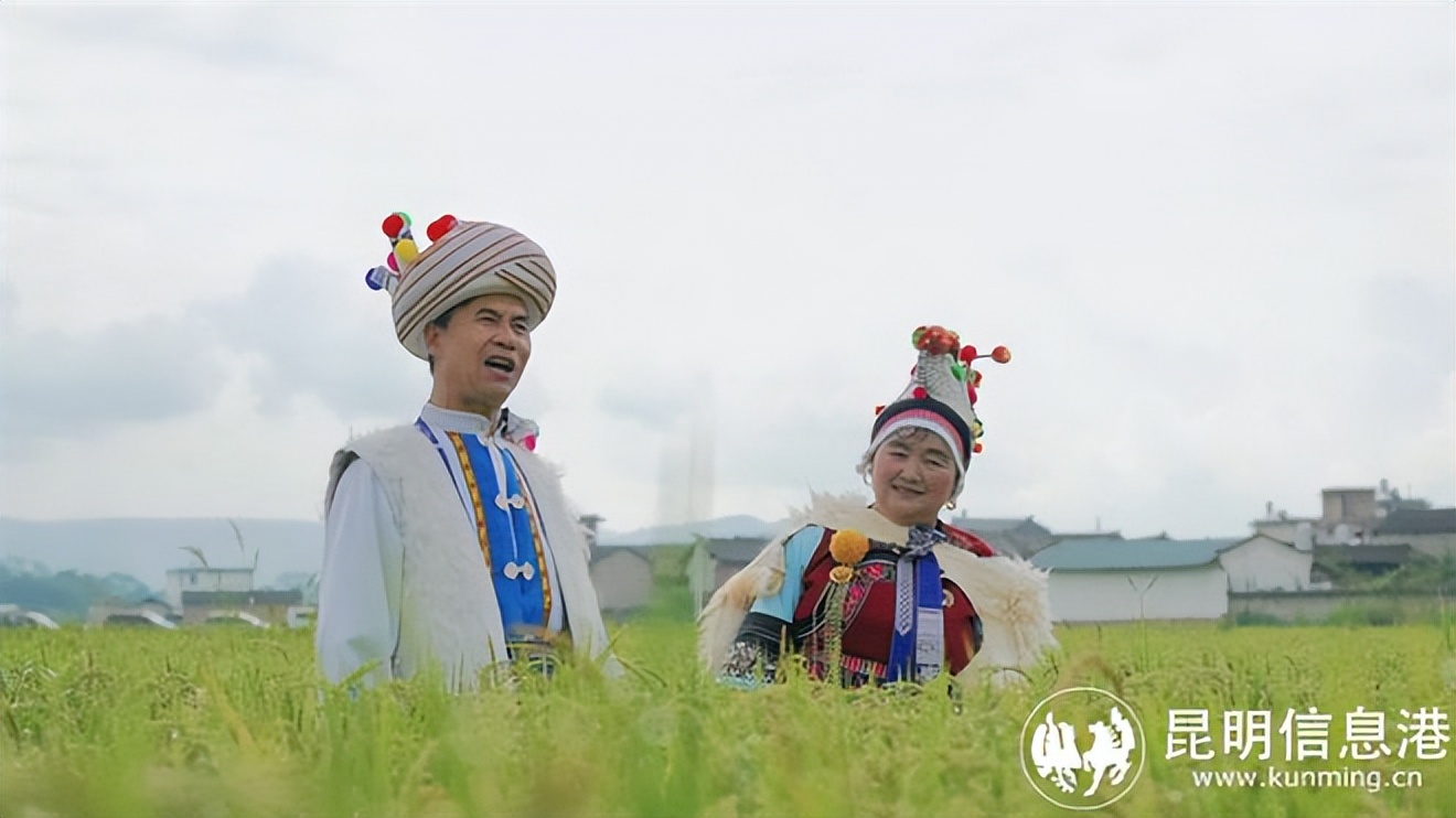 在文化里逛洱源,在文化渗透中感受中华文化之美