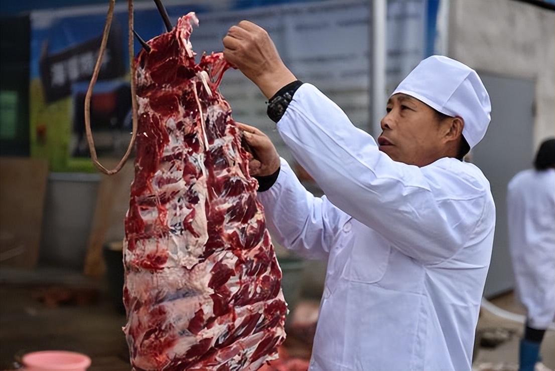 做牛肉3个月赚120万,牛肉加工厂一头牛能挣多少钱