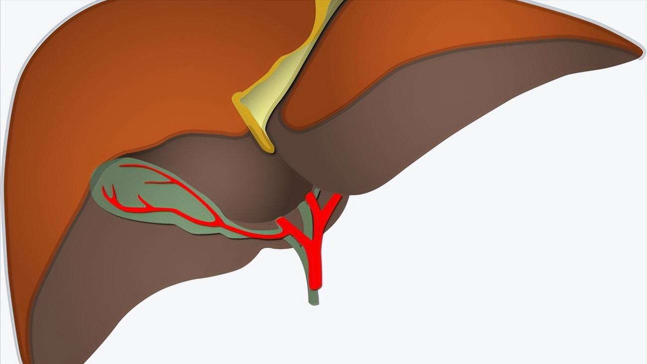 为什么银饰戴着手会变黑,银饰能帮人体排出毒素