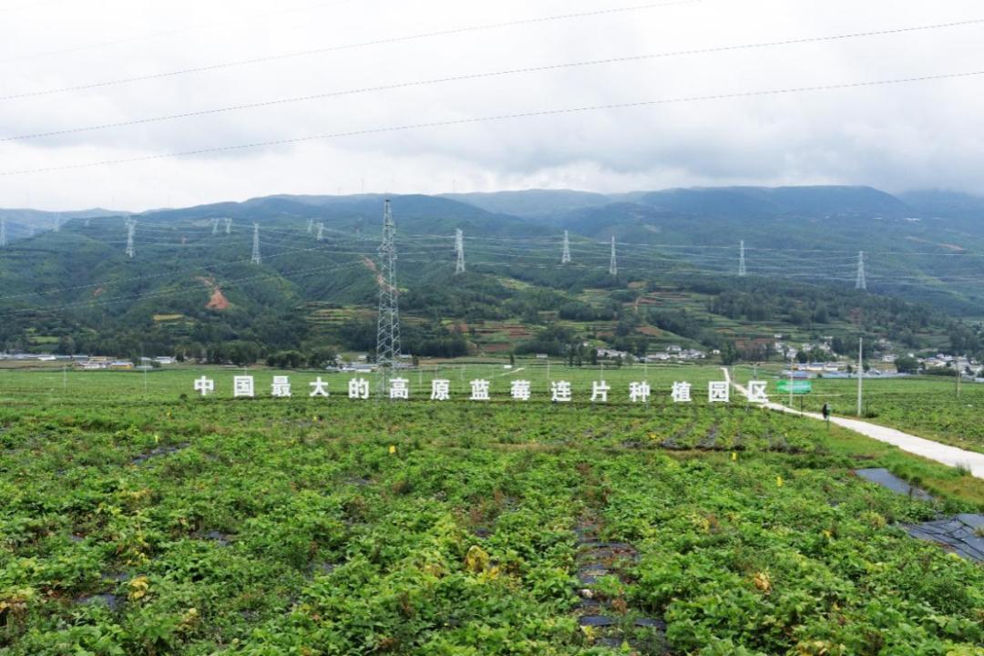 东西部共建产业园区,东西部协同发展