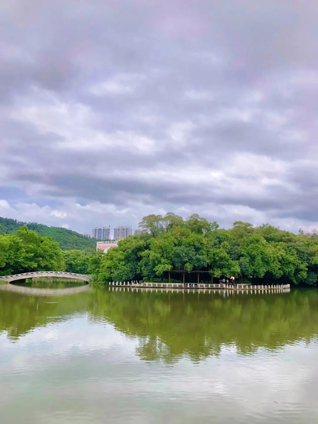 深圳十大最美公园旅游攻略,深圳免费公园景点值得打卡的地方