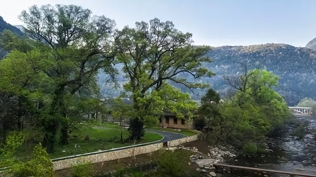 石台聚龙牯牛降酒店品牌定位,牯牛降聚龙大酒店野奢大床房