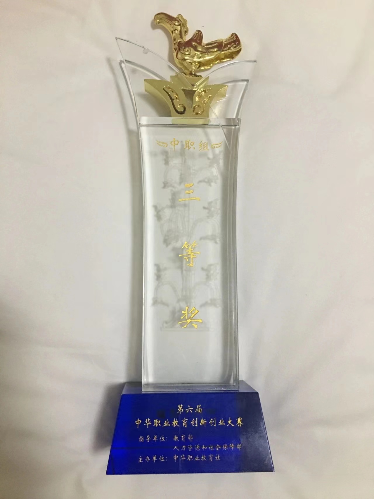 【领创中专】领创代表河北省参加全国创新创业大赛，斩获三等奖！