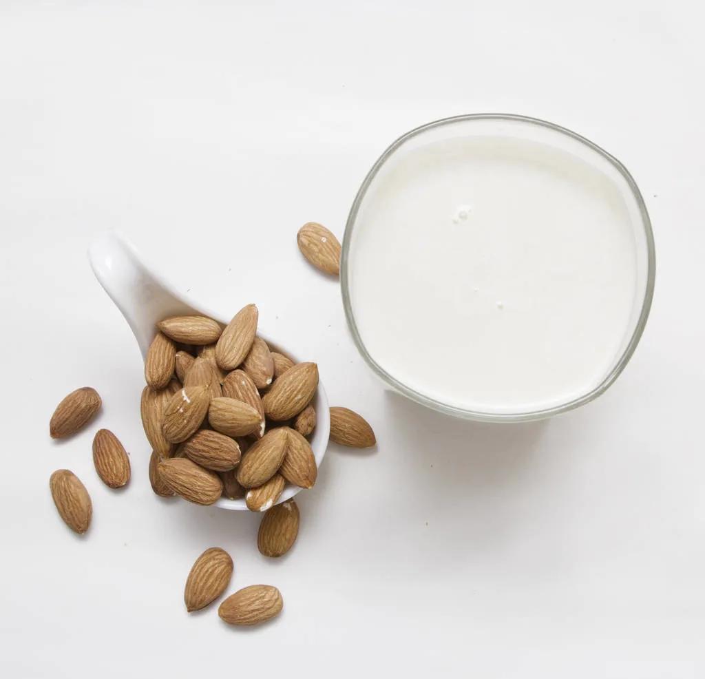 猪奶营养价值极高为什么没人喝,猪奶真的很难喝吗