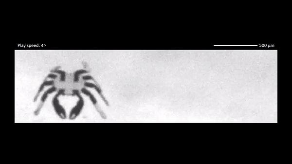 球状的螃蟹机器人,巨型螃蟹水下行走机器人