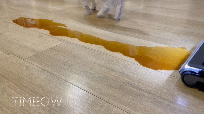 追觅洗地机测评排行榜前十,添可洗地机和追觅洗地机测评