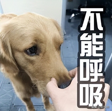 适马14-24f2.8镜头测评,适马14-24mmf2.8镜头