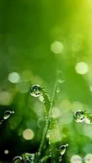 超清超美独一无二手机壁纸图片,养眼养心的壁纸