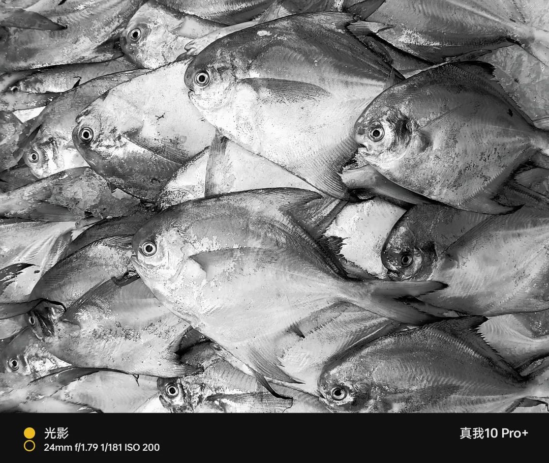 真我10pro超清三摄都有哪些,真我10pro手机一亿像素