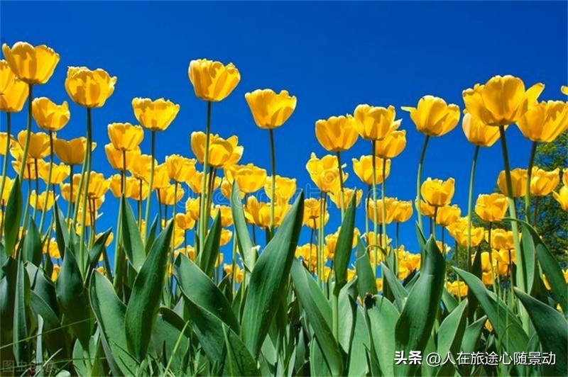 宁波东钱湖没人的地方,宁波东钱湖哪个景点风景最好