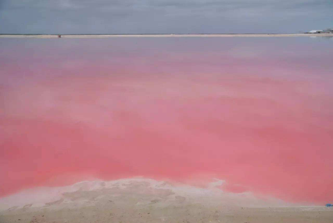 墨西哥现在的现状解说,真实墨西哥现状