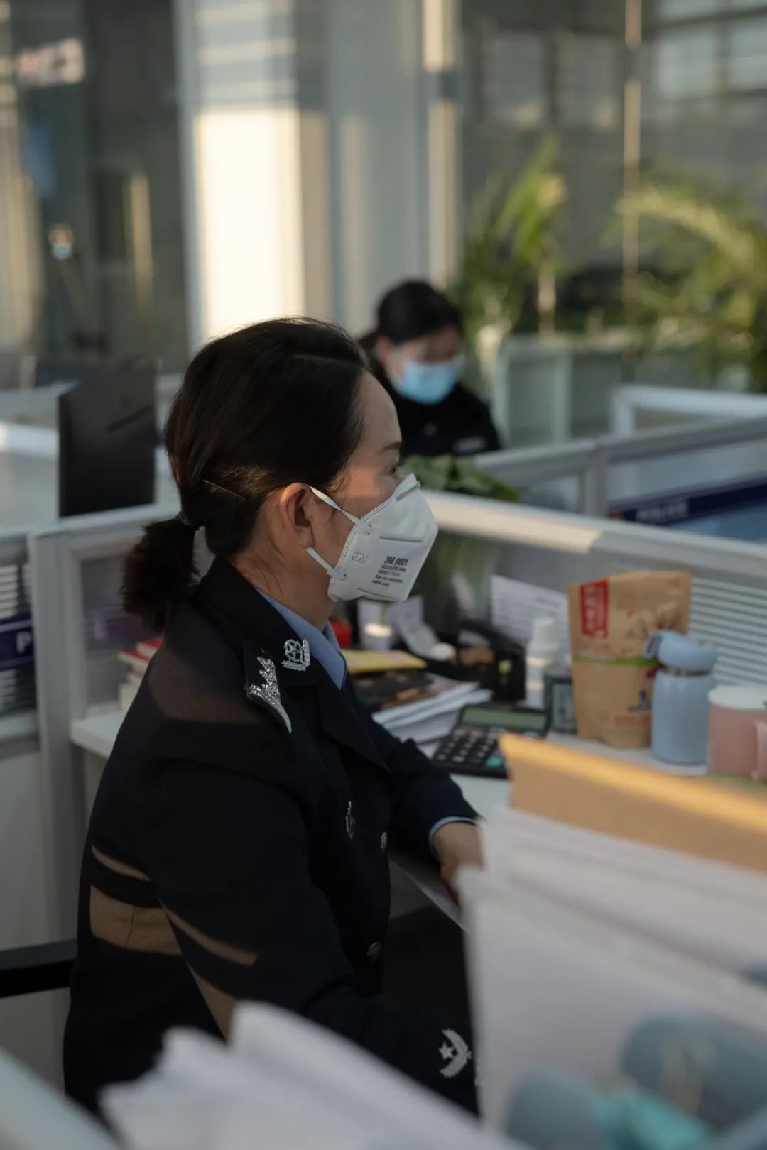 平安云南官网,丽江平安