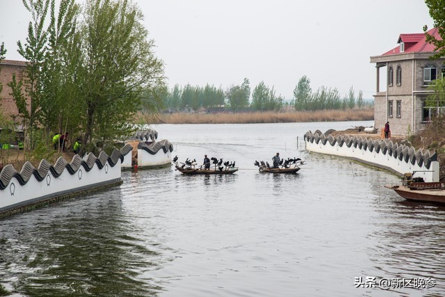请别误会,吐槽白洋淀
