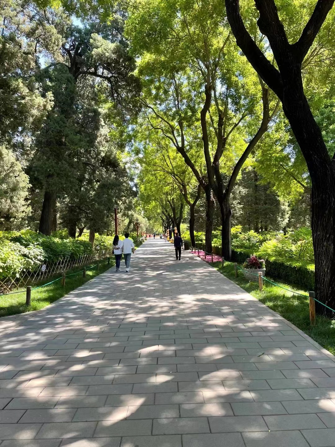 来北京一定要去一趟景山公园,北京景山公园春节风景