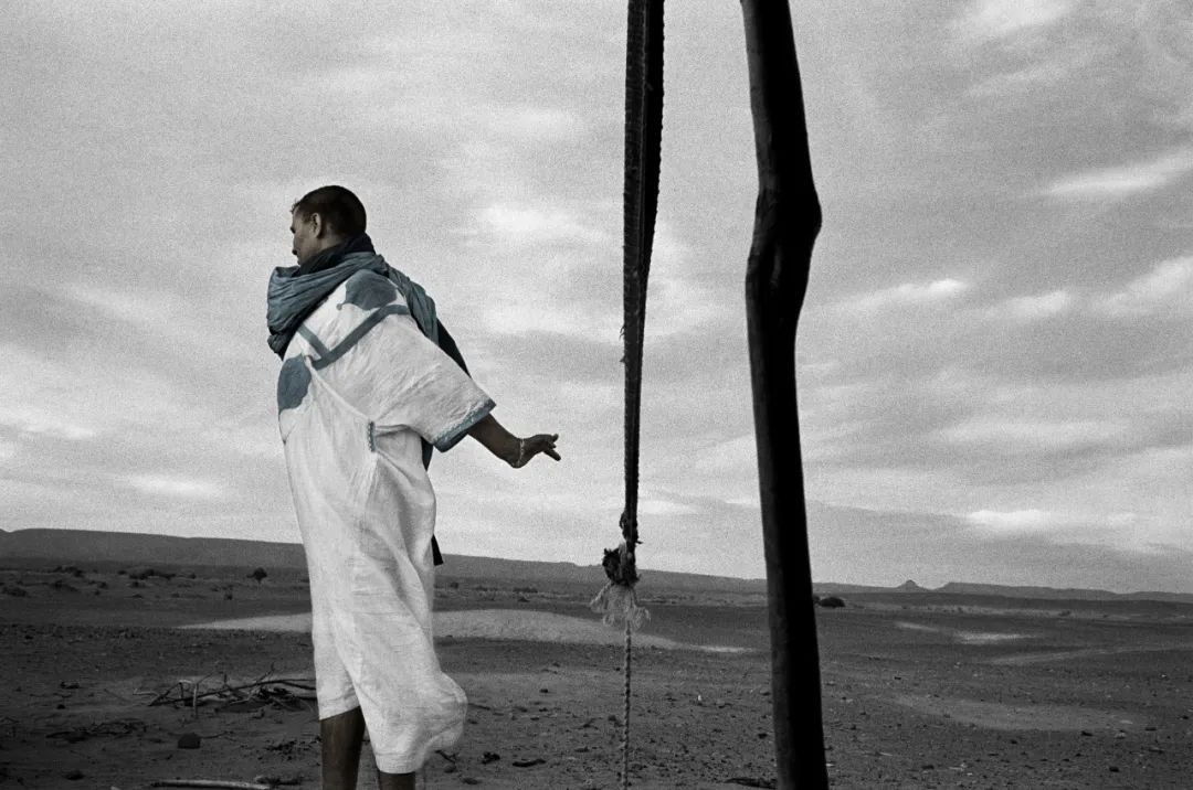 高磊绽放青春,高磊临朐