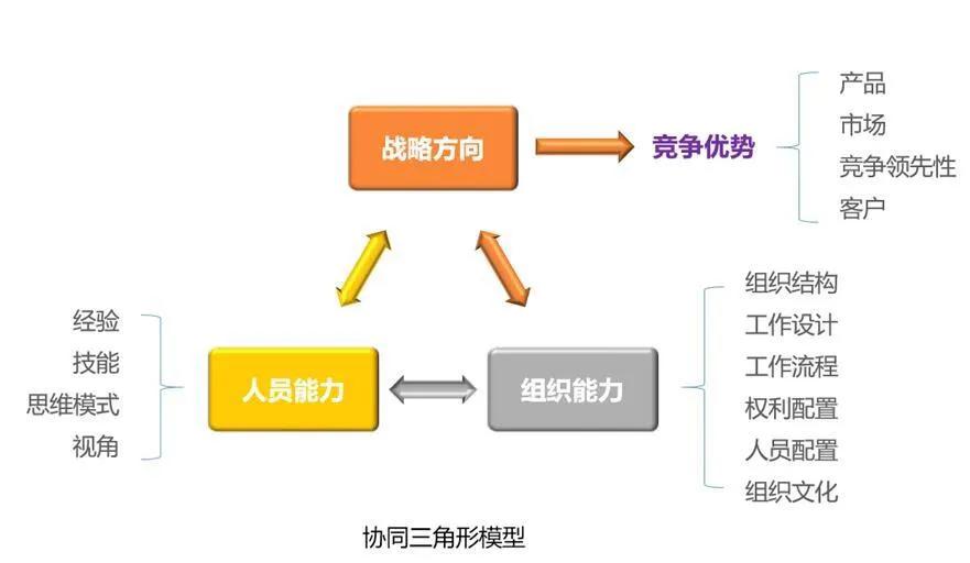 管理理论60秒学会,掌握管理技能