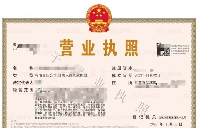 江苏新型电子产品生产厂家,江苏电子信息产业发展规划