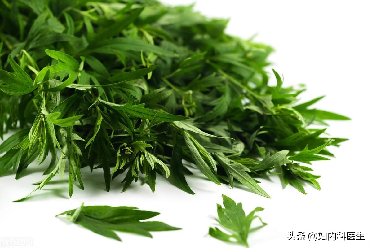 艾草艾叶效果一样吗能吃吗,艾叶有哪些禁忌和有哪些功效