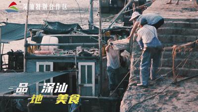 海边露营看日落地点推荐,海边露营深圳