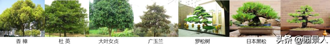 标杆房企园林景观工序,最新热销地产项目景观设计全解密