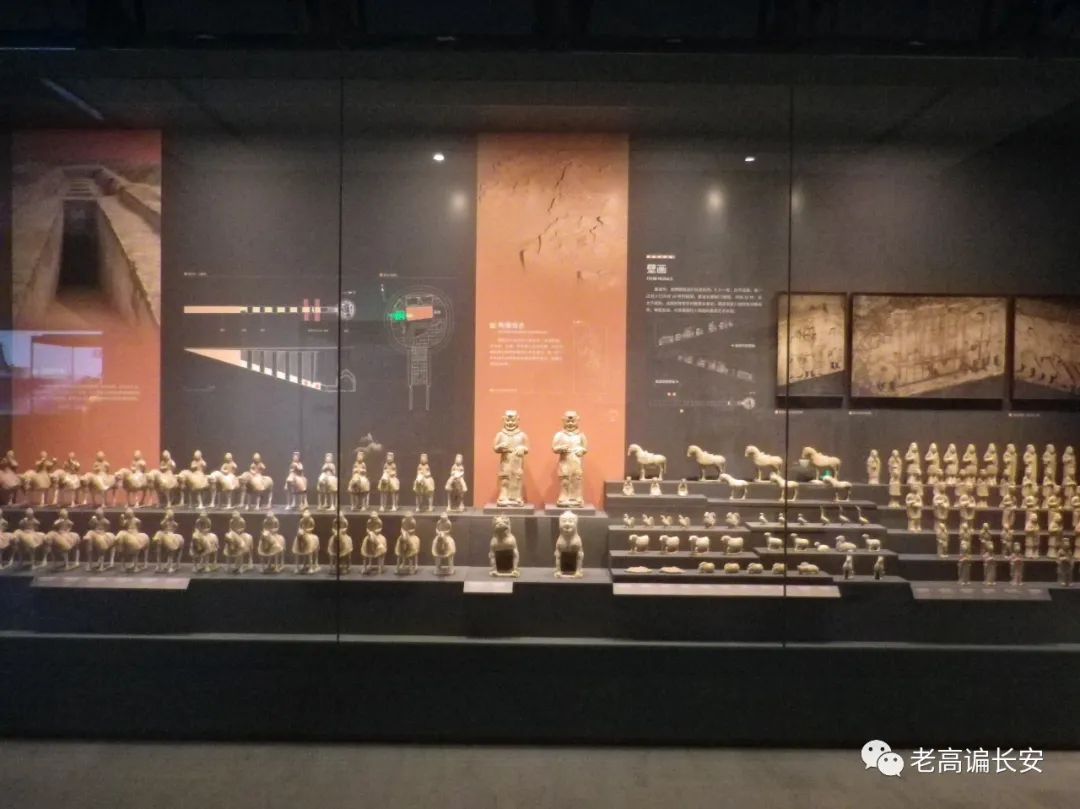假期参观陕西考古博物馆,陕西考古博物馆开馆直播