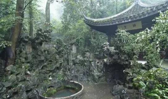 西湖龙井茶的功效和好处都有哪些,西湖龙井特点和功效