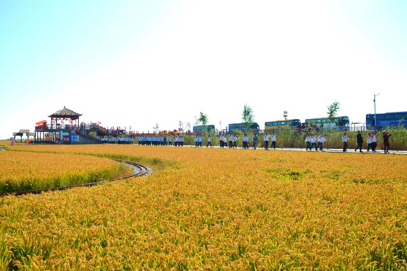 辽宁盘锦在哪个地方,去盘锦旅游哪里好