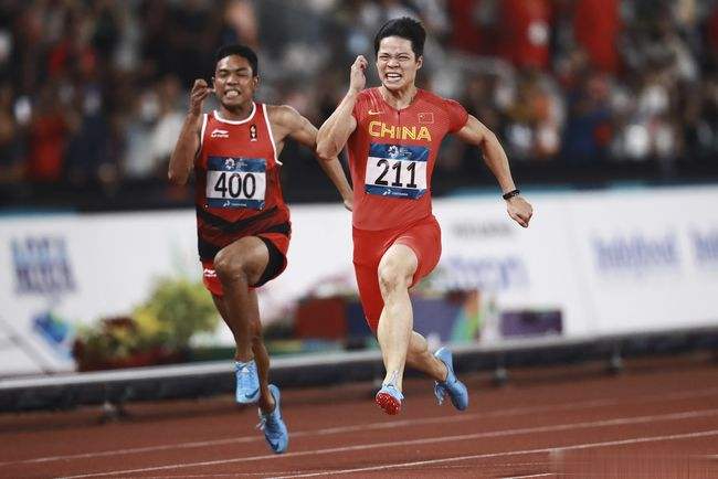 体育训练小知识,体育小知识内容文字