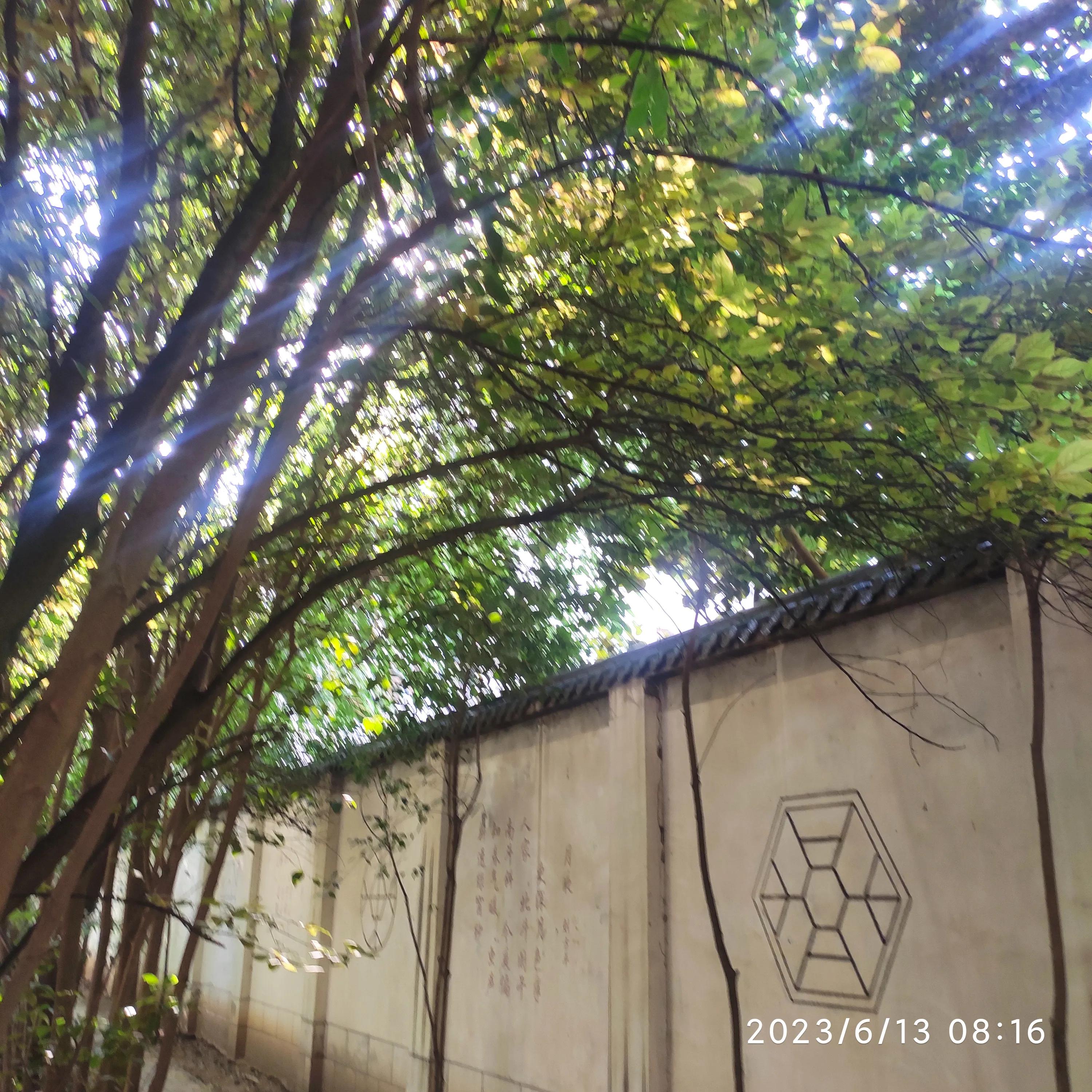 五律清明,五律雨后清晨诗