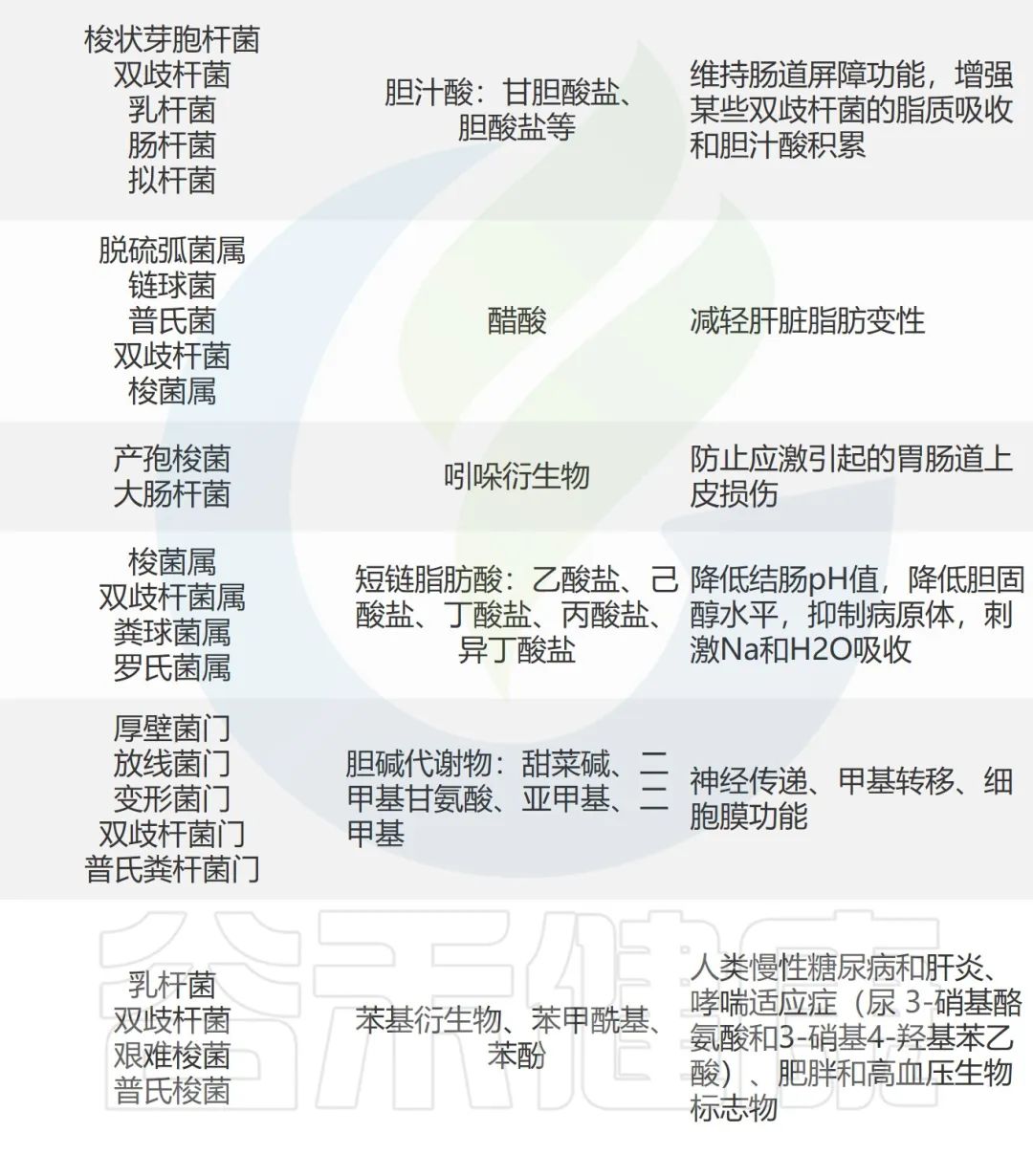 人体微生物分布,人体微生物菌群